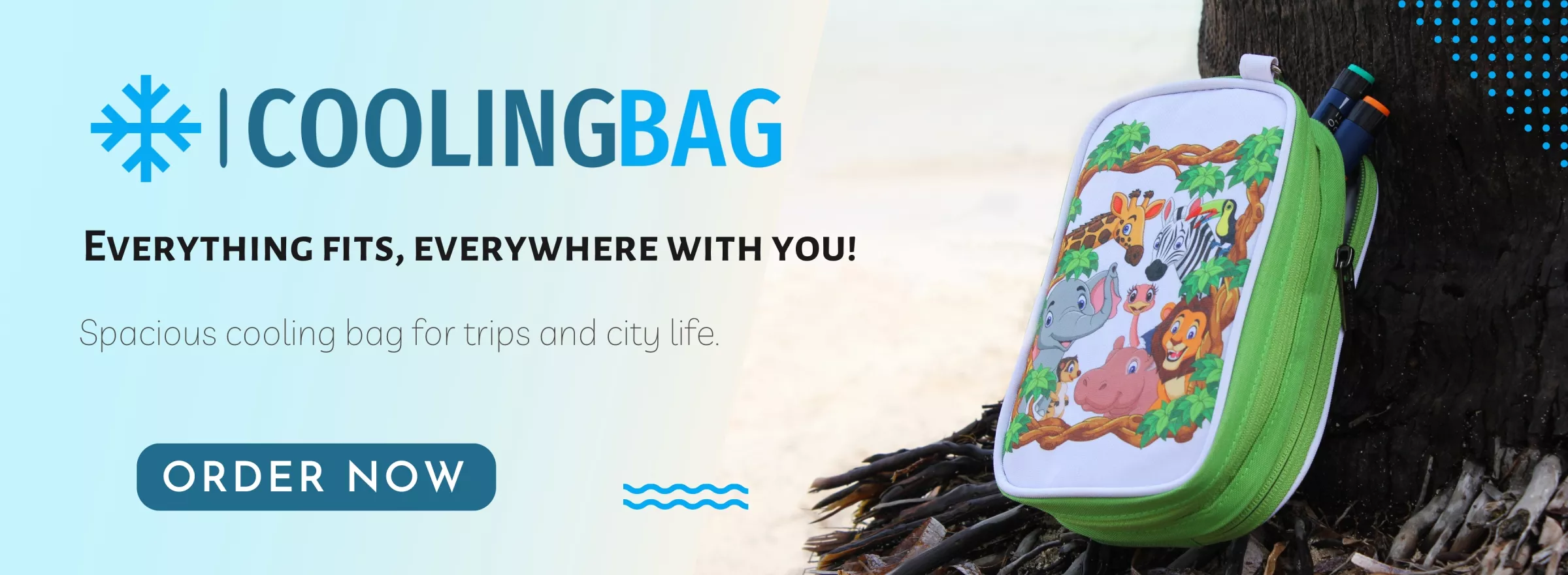 bags cases for diabetics